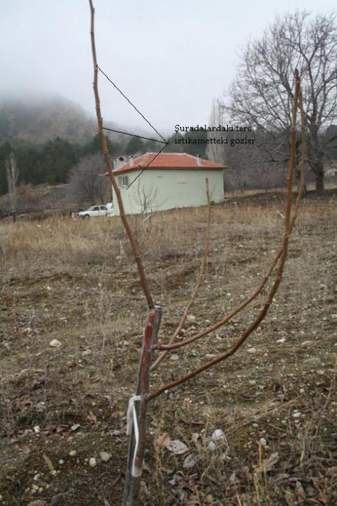 Name:  04.jpg
Views: 1595
Size:  63.0 KB