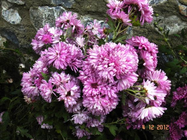 Name:  DSC03013.jpg
Views: 686
Size:  71.2 KB