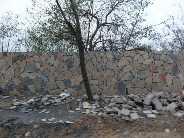Name:  DSCF9288.jpg
Views: 318
Size:  67.0 KB
