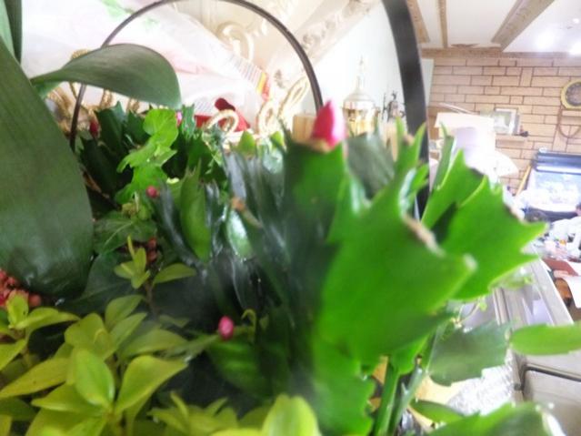 Name:  DSCF9329.jpg
Views: 284
Size:  40.6 KB