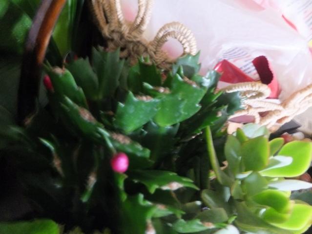 Name:  DSCF9331.jpg
Views: 297
Size:  34.3 KB