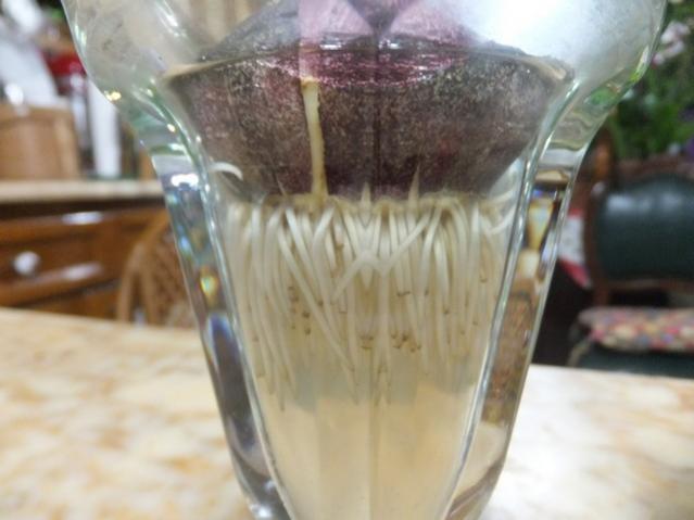 Name:  DSCF9334.jpg
Views: 295
Size:  33.6 KB
