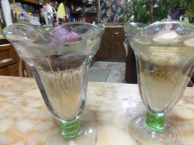 Name:  DSCF9335.jpg
Views: 286
Size:  41.8 KB