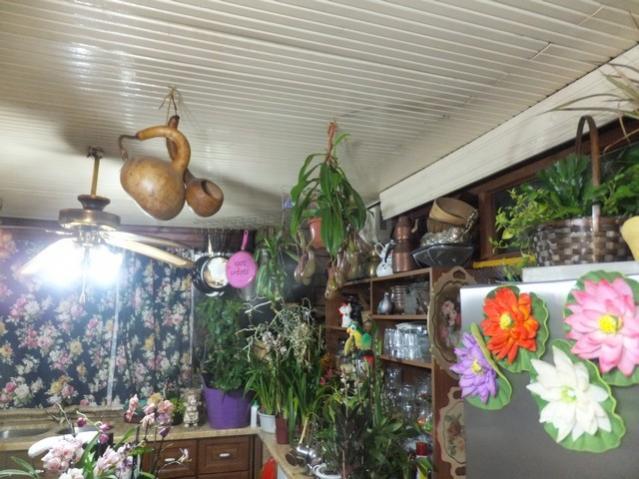 Name:  DSCF9440.jpg
Views: 702
Size:  55.3 KB