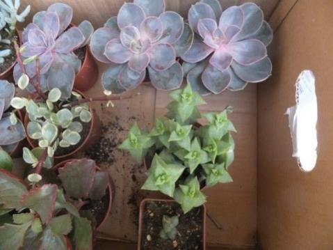 Name:  DSCF9451.jpg
Views: 641
Size:  26.8 KB