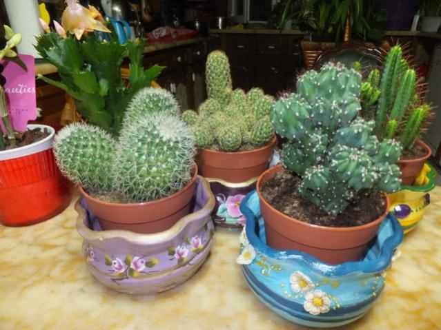 Name:  DSCF9486.jpg
Views: 679
Size:  53.6 KB