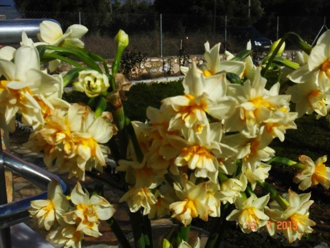 Name:  DSC03136.jpg
Views: 615
Size:  55.8 KB