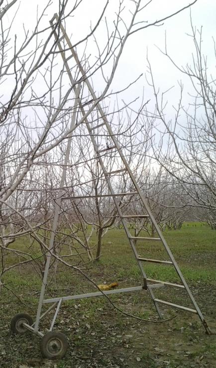 Name:  20130121_163614-1.jpg
Views: 3348
Size:  82.0 KB