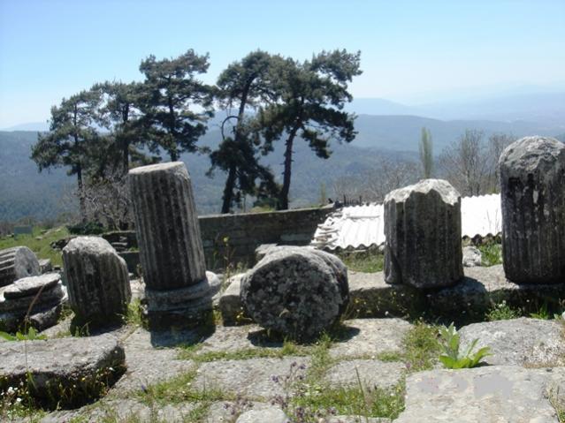 Name:  DSC02257.jpg
Views: 587
Size:  54.8 KB