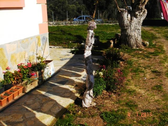 Name:  DSC03116.jpg
Views: 526
Size:  66.6 KB