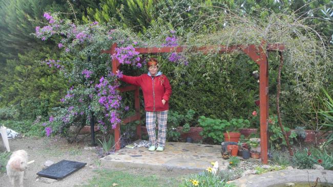 Name:  DSCN0885.jpg
Views: 308
Size:  67.2 KB