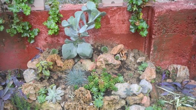 Name:  DSCN0880.jpg
Views: 299
Size:  60.9 KB