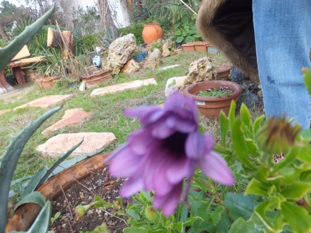 Name:  DSCF9567.jpg
Views: 573
Size:  57.8 KB