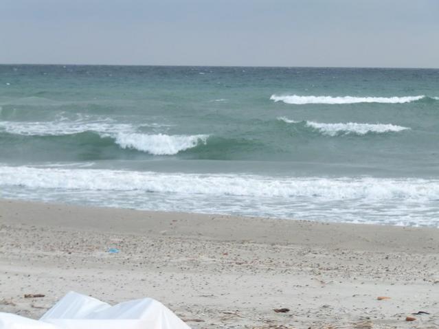 Name:  DSCF9586.jpg
Views: 607
Size:  33.1 KB