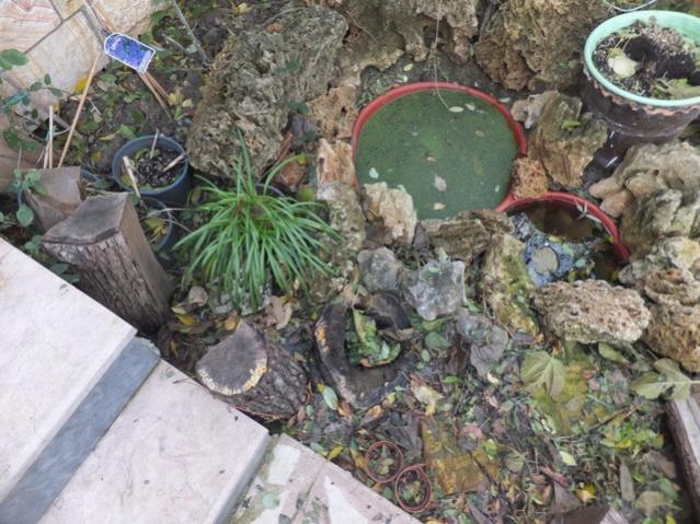 Name:  DSCF9600.jpg
Views: 594
Size:  66.0 KB