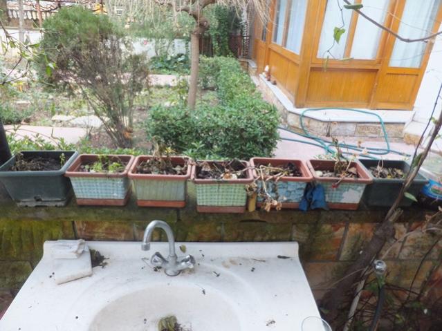 Name:  DSCF9603.jpg
Views: 571
Size:  56.2 KB