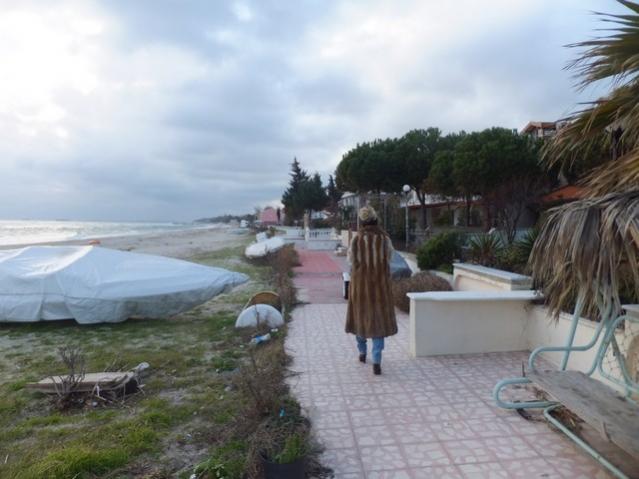 Name:  DSCF9620.jpg
Views: 572
Size:  39.2 KB