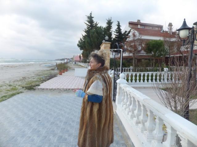 Name:  DSCF9625.jpg
Views: 598
Size:  42.2 KB