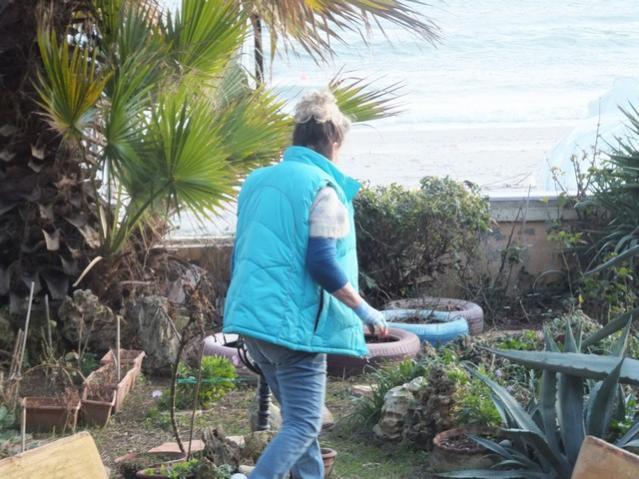 Name:  DSCF9634.jpg
Views: 601
Size:  59.1 KB