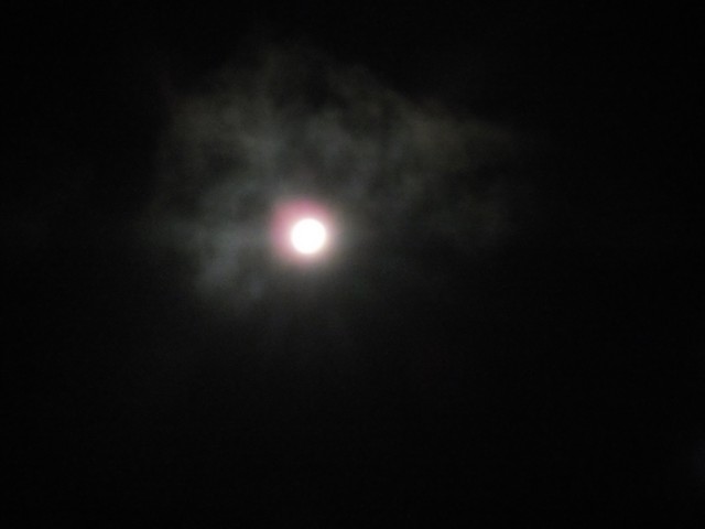 Name:  DSCF9641.jpg
Views: 579
Size:  29.2 KB