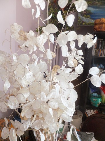 Name:  DSCF9679.jpg
Views: 2251
Size:  67.7 KB