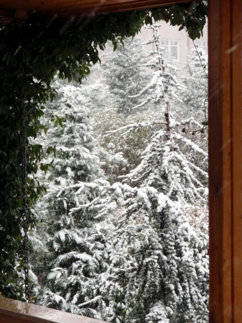 Name:  4.jpg
Views: 967
Size:  72.1 KB