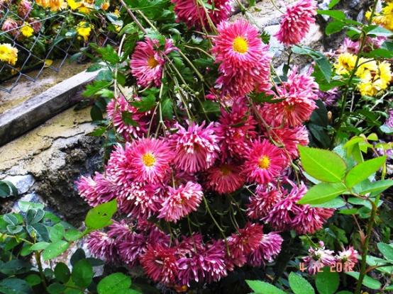 Name:  DSC03022.jpg
Views: 659
Size:  72.6 KB