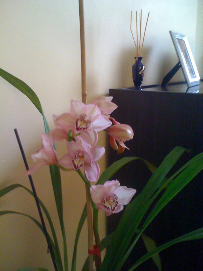 Name:  fotoraf (10).jpg
Views: 1199
Size:  55.2 KB