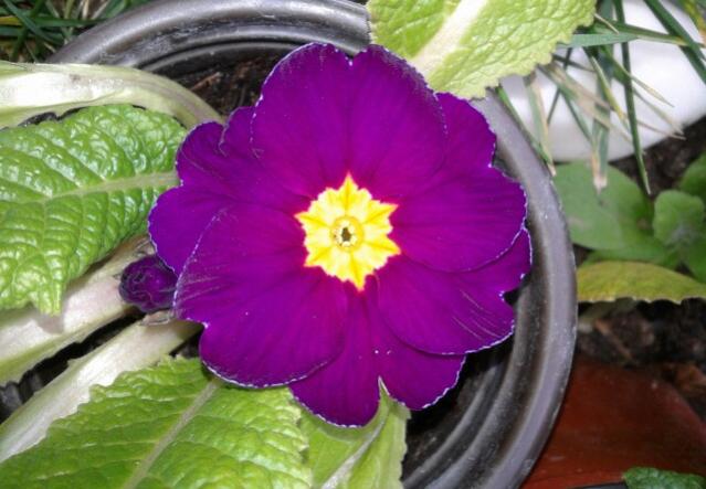 Name:  20130203_100700-1.jpg
Views: 908
Size:  43.3 KB