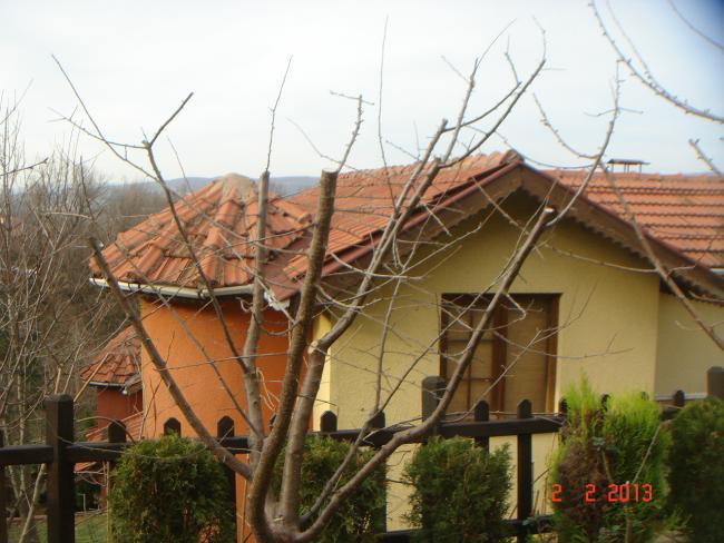 Name:  DSC02588.jpg
Views: 534
Size:  53.7 KB
