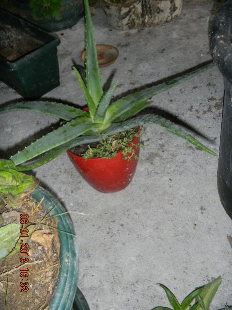 Name:  DSCN2512.jpg
Views: 561
Size:  51.3 KB