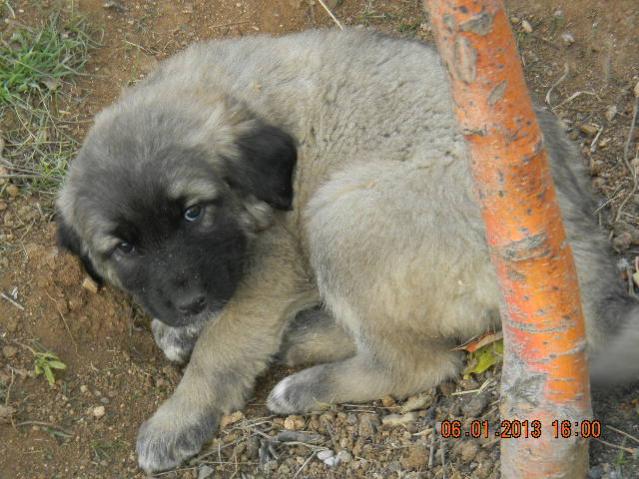 Name:  DSCN2510.jpg
Views: 537
Size:  58.8 KB