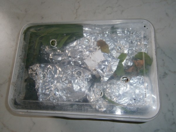Name:  P2071031 (600 x 450)b.jpg
Views: 741
Size:  59.0 KB