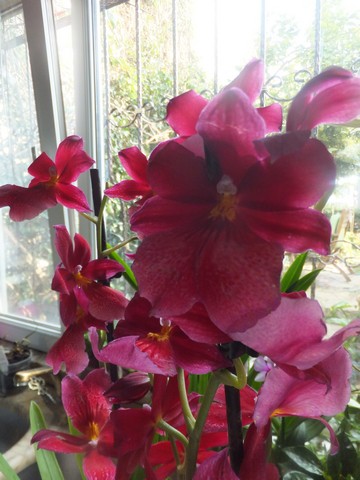 Name:  DSCF0594.jpg
Views: 265
Size:  63.8 KB