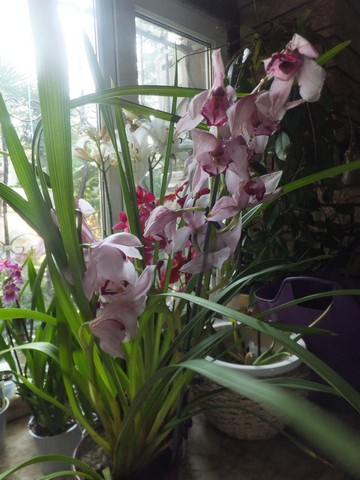 Name:  DSCF0595.jpg
Views: 282
Size:  65.0 KB