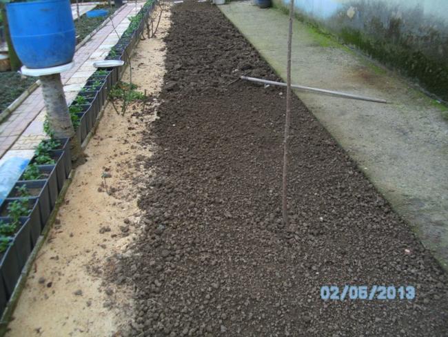 Name:  5-ubat-2013 (1).jpg
Views: 637
Size:  65.8 KB