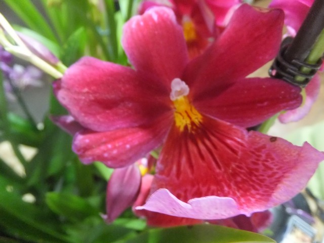Name:  DSCF0605.jpg
Views: 287
Size:  68.5 KB