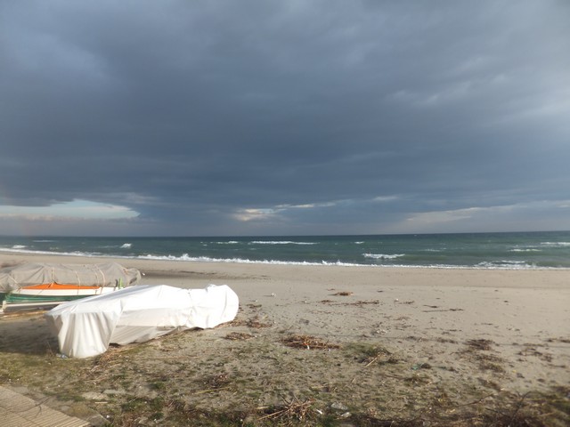 Name:  DSCF0660.jpg
Views: 276
Size:  67.6 KB