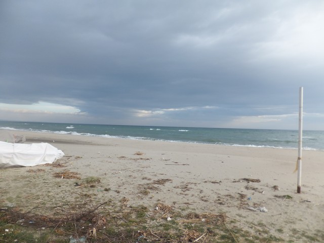 Name:  DSCF0672.jpg
Views: 259
Size:  66.9 KB