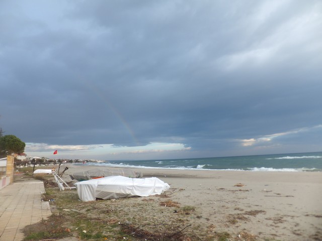 Name:  DSCF0677.jpg
Views: 261
Size:  58.6 KB