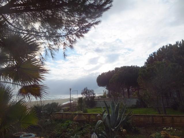 Name:  DSCF0679.jpg
Views: 252
Size:  44.8 KB