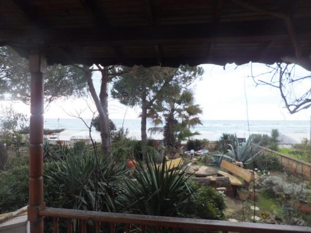 Name:  DSCF0614.jpg
Views: 339
Size:  45.1 KB
