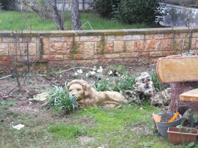 Name:  DSCF0616.jpg
Views: 311
Size:  65.4 KB