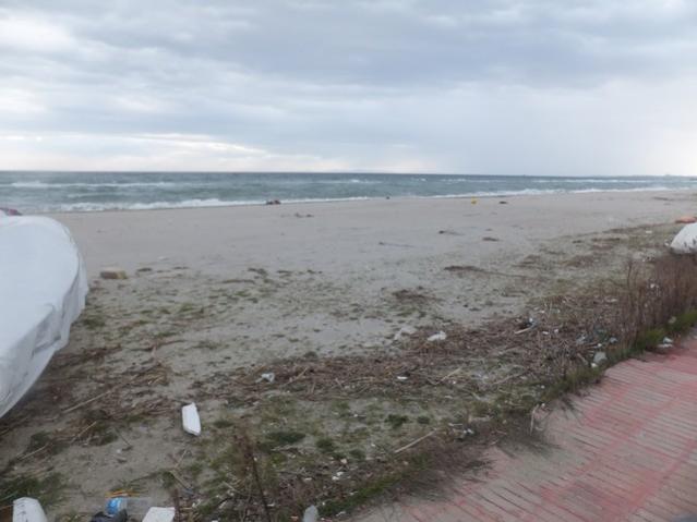 Name:  DSCF0622.jpg
Views: 316
Size:  35.7 KB