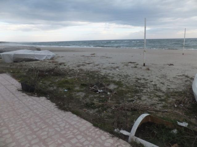 Name:  DSCF0623.jpg
Views: 329
Size:  35.9 KB
