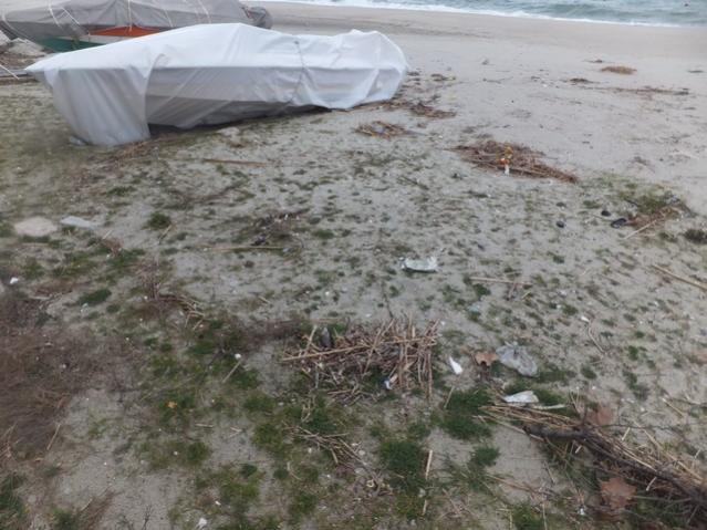 Name:  DSCF0626.jpg
Views: 318
Size:  54.5 KB