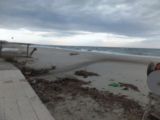 Name:  DSCF0627.jpg
Views: 317
Size:  32.1 KB