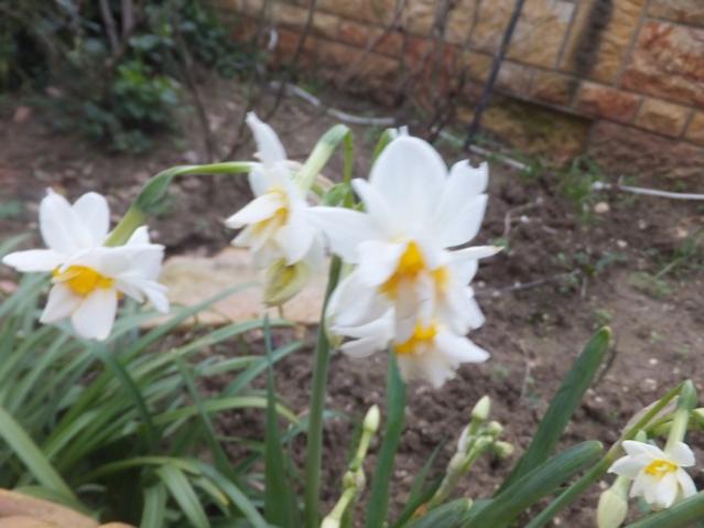Name:  DSCF0630.jpg
Views: 444
Size:  38.7 KB