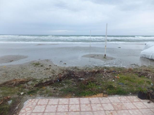 Name:  DSCF0701.jpg
Views: 385
Size:  35.7 KB