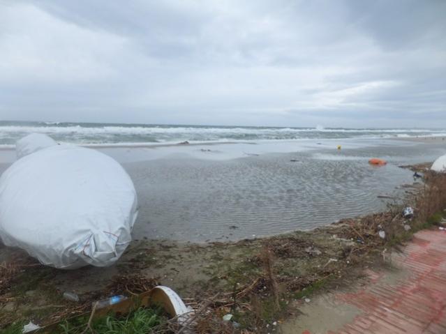 Name:  DSCF0703.jpg
Views: 392
Size:  32.8 KB